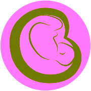 Verloskundigen Haarlem-Noord